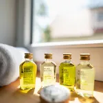Alcor Exclusive Friedrichsruh Apartahotel 4*